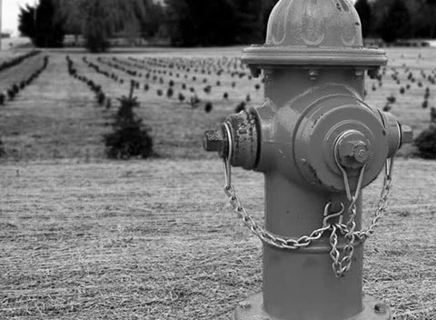 手机号网页在线轰炸源码